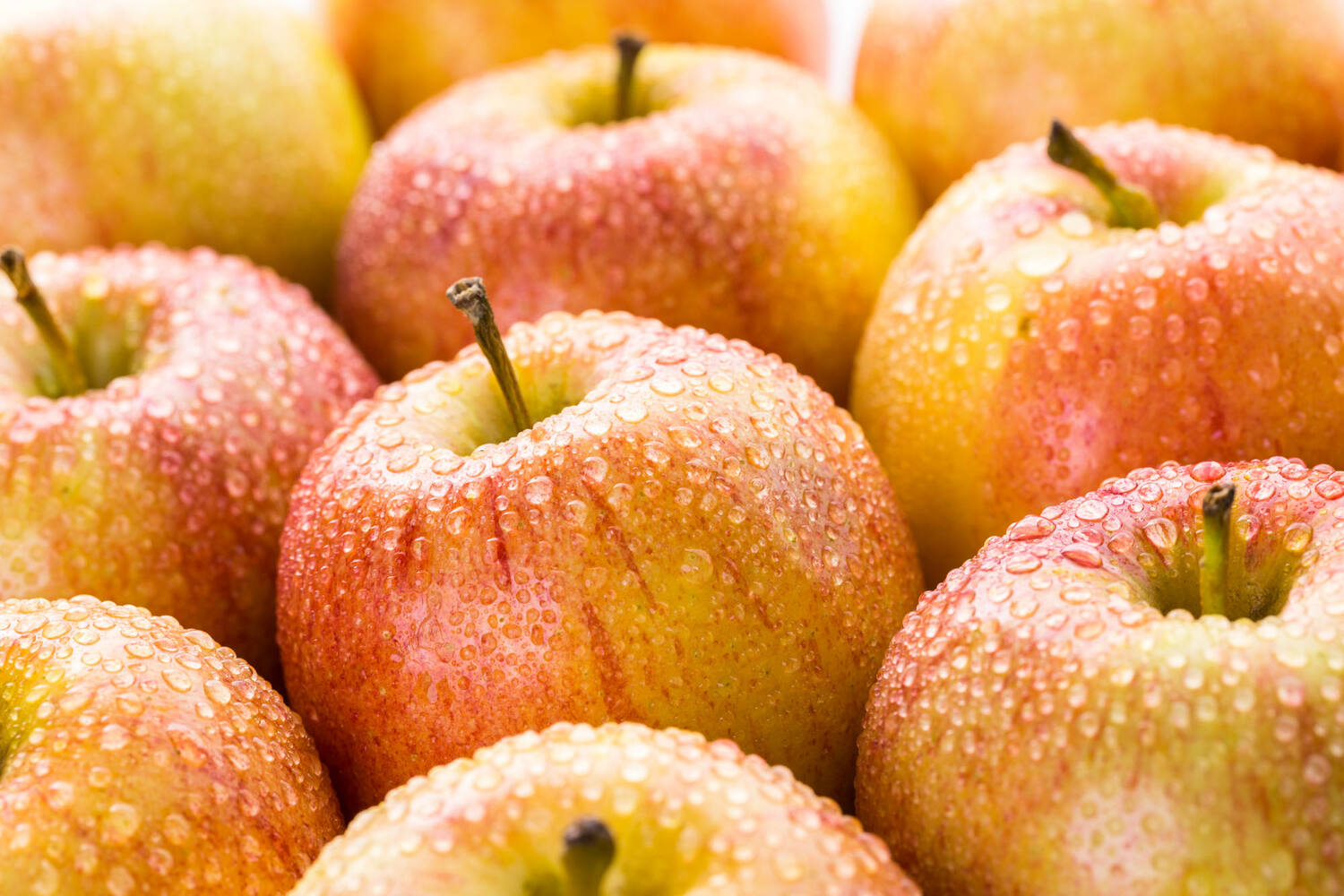Gala appels gelegd kist 6 kilogram